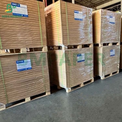 giấy lọc cà phê màu nâu tự nhiên không tẩy trắng Biodegradable nhiệt độ cao