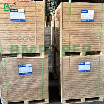 50 GSM Không mùi hiệu quả lọc cao giấy lọc cà phê cuộn