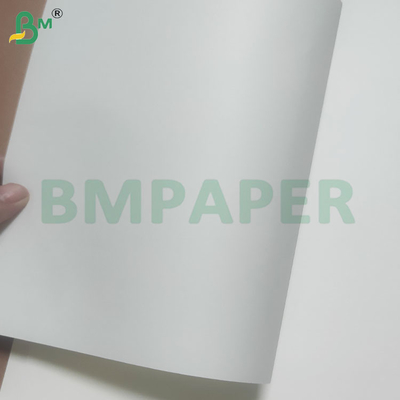 60/120 GSM giấy rổ rơm để uống với màu sắc tùy chỉnh