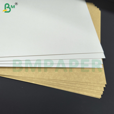 Strong Kraft Back Board 325gsm CKB Carrier Board Cho hộp thực phẩm