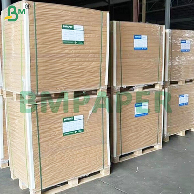 320 GSM Brown Cup Stock giấy tờ với 20 GSM PE phủ