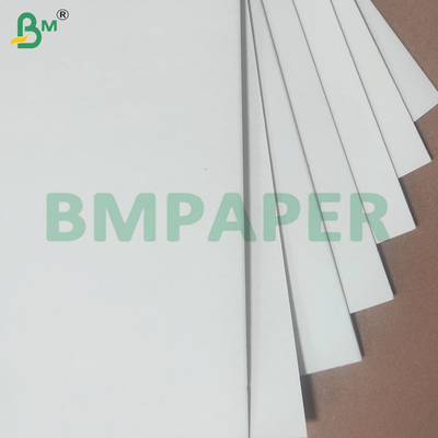 1.2mm 1,5mm Độ dày giấy hấp thụ nước cho thảm bia và dưới lưng