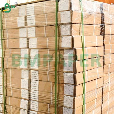 Giấy vẽ CAD 80gsm cho kỹ thuật in ấn chuyên nghiệp