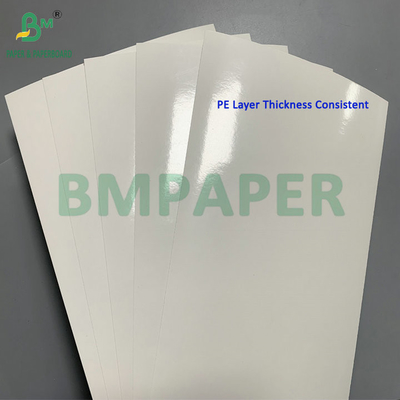 260gm + 15gm PE phủ SBS Thẻ giấy cho tôm đông lạnh hộp đóng gói thực phẩm