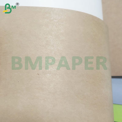 190gm + 15gm Chất ăn an toàn PE phủ Virgin Pulp Bánh giấy Bowl màu nâu