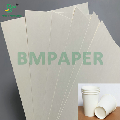 C1S PE bề mặt 210gsm 230gsm Cup giấy cho đồ uống Cup Jumbo Roll