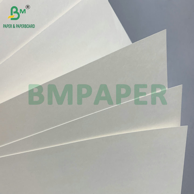 C1S PE bề mặt 210gsm 230gsm Cup giấy cho đồ uống Cup Jumbo Roll