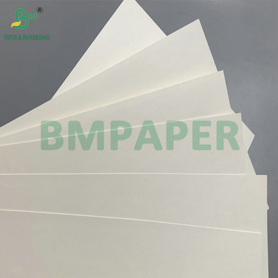 C1S PE bề mặt 210gsm 230gsm Cup giấy cho đồ uống Cup Jumbo Roll