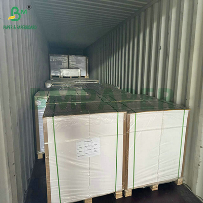Mức độ thực phẩm 250Gram 737mm Cupstock chống nước 1 PE giấy cho ly