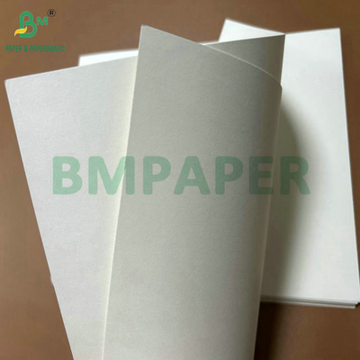 Mức độ thực phẩm 250Gram 737mm Cupstock chống nước 1 PE giấy cho ly