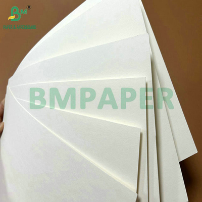 Mức độ thực phẩm 250Gram 737mm Cupstock chống nước 1 PE giấy cho ly