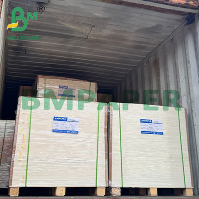 15g 18g PE Laminated Cup Stock Paper Food Grade Cho ly kem