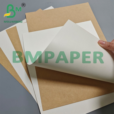 15g 18g PE Laminated Cup Stock Paper Food Grade Cho ly kem