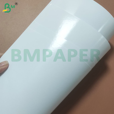Giấy ảnh bóng hai mặt cho in ấn chuyên nghiệp sôi động