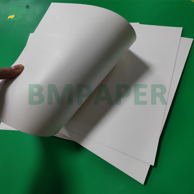 300gm + 15g PE phủ giấy Cup Stock Board Cho đồ uống nóng 820mm 880mm