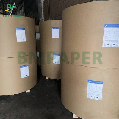 300gm + 15g PE phủ giấy Cup Stock Board Cho đồ uống nóng 820mm 880mm