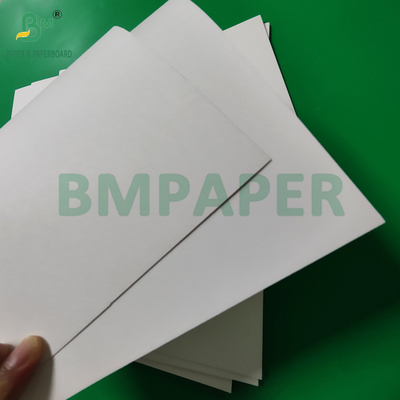 300gm + 15g PE phủ giấy Cup Stock Board Cho đồ uống nóng 820mm 880mm
