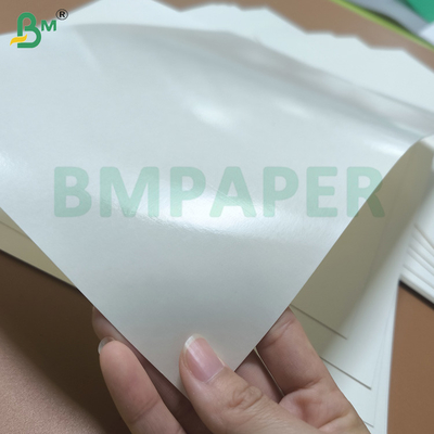 Chất liệu thô của giấy Cupstock phủ PE chống nước tuyệt vời