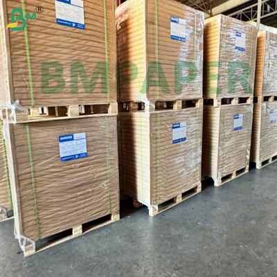 Chất liệu thô của giấy Cupstock phủ PE chống nước tuyệt vời