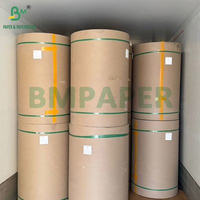 240g + 18g PE phủ Cup Stock giấy Matte Finish Một mặt Custom Roll rộng 430mm - 2100mm