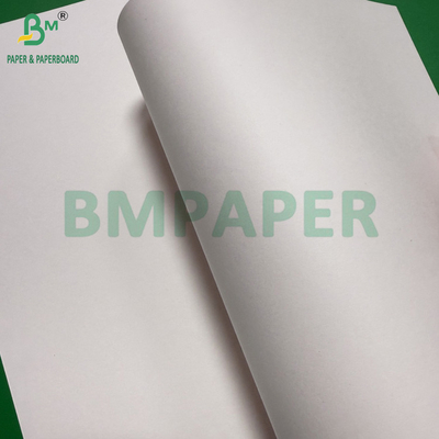 240g + 18g PE phủ Cup Stock giấy Matte Finish Một mặt Custom Roll rộng 430mm - 2100mm