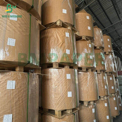 240g + 18g PE phủ Cup Stock giấy Matte Finish Một mặt Custom Roll rộng 430mm - 2100mm