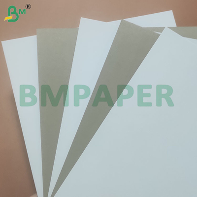 300gm Bột giấy tái chế 700 * 1000mm Bảng giấy bìa màu xám trắng
