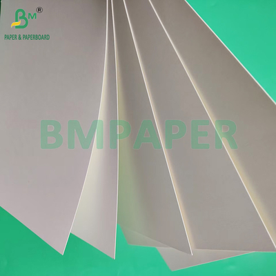 230gsm 260gsm Một mặt PE phủ giấy ly để làm giấy ly