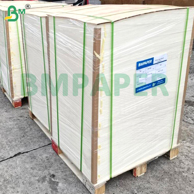 200gsm + 15gsm PE phủ bảng thực phẩm chống nước & chống mỡ cho hộp burger Cốc giấy Bao bì thực phẩm