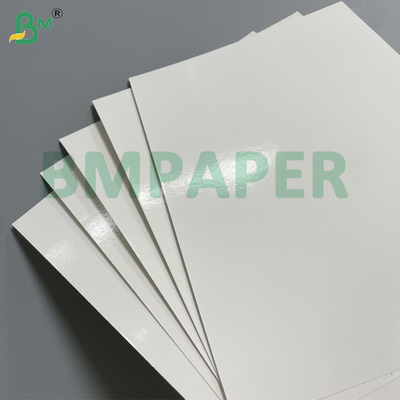 200gsm + 15gsm PE phủ bảng thực phẩm chống nước & chống mỡ cho hộp burger Cốc giấy Bao bì thực phẩm