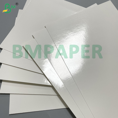 200gsm + 15gsm PE phủ bảng thực phẩm chống nước & chống mỡ cho hộp burger Cốc giấy Bao bì thực phẩm