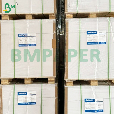 250gm Cuộn giấy không gỗ có độ trắng cao để in Offset