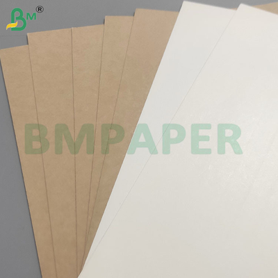 An toàn thực phẩm 200+10GSM Bảng giấy phủ PET cho thùng chứa thực phẩm