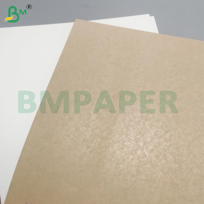 An toàn thực phẩm 200+10GSM Bảng giấy phủ PET cho thùng chứa thực phẩm
