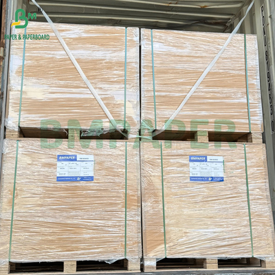 80gm 110gm Bảng giấy Bristol không phủ màu cho nghề thủ công trường học 61 x 86cm