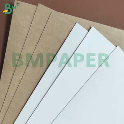 240gsm+10gsm One Side PE Coated Leak-proof Cup Stock Paper Sheets
