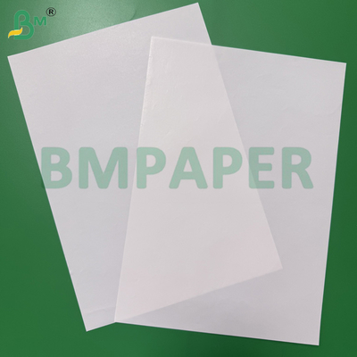 65 - 80gm Bảng giấy trắng có độ bền ướt cao cho thùng đóng gói đồ uống Bảng nhãn bia phủ một mặt