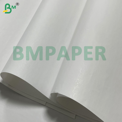70g 75g 565mm 640mm cao - Bạch chất phủ nhạy cảm với nhiệt giấy sổ ghi tiền cho máy POS