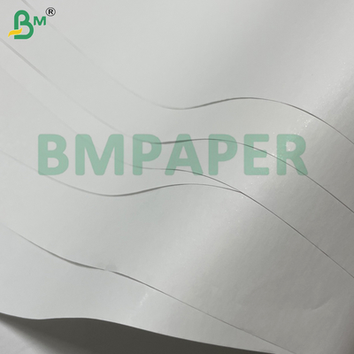 70g 75g 565mm 640mm cao - Bạch chất phủ nhạy cảm với nhiệt giấy sổ ghi tiền cho máy POS