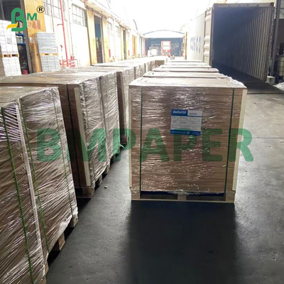 Bao bì hải sản Băng giấy thực phẩm Lọc nhiều mặt 1 mặt Chống nhiệt độ thấp