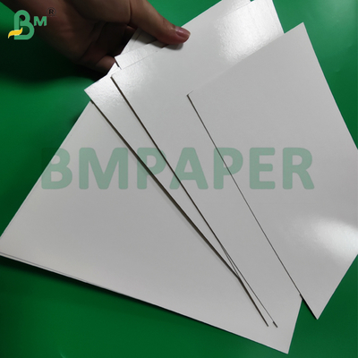 1 / S 295g + 15g Giấy thực phẩm đông lạnh tráng PE cho bao bì tôm đông lạnh - An toàn