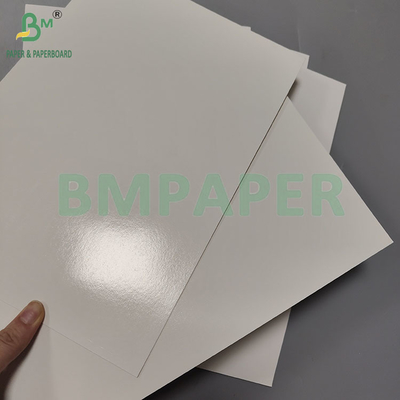Giấy bao bì thực phẩm đông lạnh 275gsm 300gsm cho bao bì hải sản đông lạnh