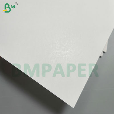 Giấy bìa vỉ phủ nhiệt 320gsm 350gsm C1S