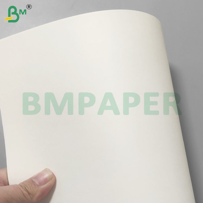 Giấy Cup Stock tráng PE bóng 250+15gsm Virgin Pulp