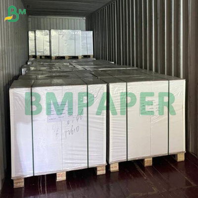 Biodegradable White Food Board Pure Material Sheet Standard Size 700*1000mm