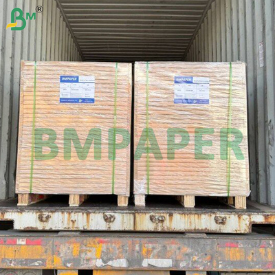 Biodegradable White Food Board Pure Material Sheet Standard Size 700*1000mm