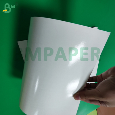 275g + 15g PE Coated White Paperboard For Frozen Seafood Package 1000 x 700 mm