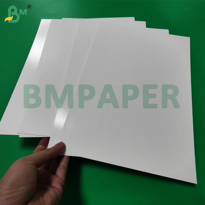 275g + 15g PE Coated White Paperboard For Frozen Seafood Package 1000 x 700 mm