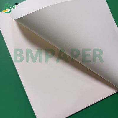 Giấy in sách định lượng 80gsm, màu kem ngà, khổ 61x86cm, dùng cho in offset