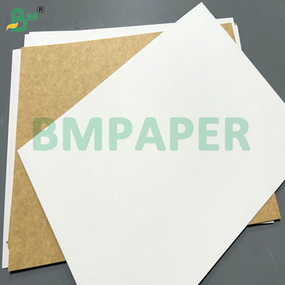 250gsm 300gsm  Food Compliance Coated Kraft Board For Food Containers 71cm